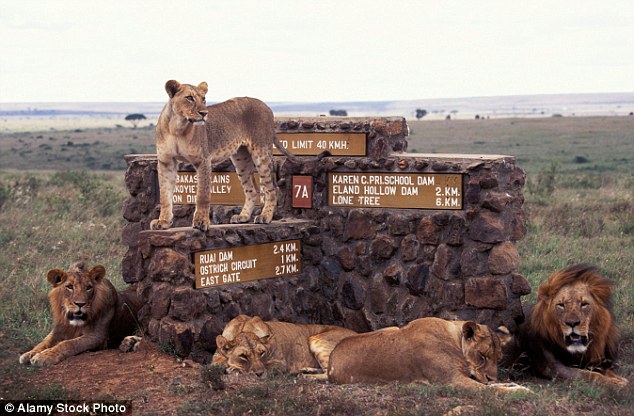 Nairobi Park